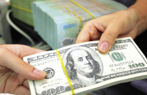 Sức ép tỷ giá những tháng cuối năm?