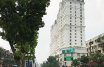 Dự án do “liên danh chủ đầu tư thực hiện”, người mua dễ nắm đằng lưỡi