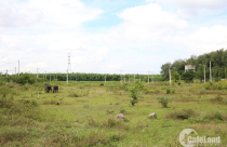 Đồng Nai: Thu hồi 3.620 ha đất từ 188 dự án