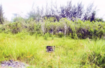 Rủi ro “ôm đất” vùng ven