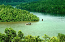 Xây bến phà kết nối TP.HCM với Long An