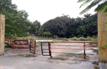 Xóa sổ dự án Công viên Rồng Biển sau hơn 10 năm “đắp chiếu”