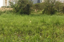 Chưa đền bù xong đã bán đất nền