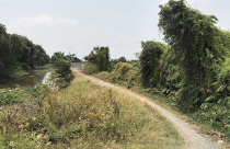 Đất Củ Chi lại ‘nóng bỏng tay’