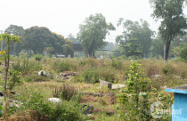 Đất quanh Nghĩa trang Bình Hưng Hòa lên cơn "sốt"