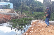 Lập đoàn kiểm tra vi phạm đất đai, chặt phá và lấn chiếm rừng ở Phú Quốc