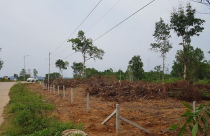 Loạn đất trên đảo Phú Quốc: 'Xã hội đen' lộng hành?