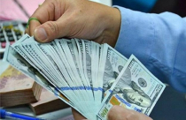 Dự trữ ngoại hối lớn giúp sẵn sàng can thiệp thị trường
