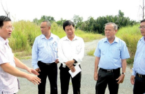 Huyện Nhà Bè lãng phí đất đai vì dự án treo quá nhiều