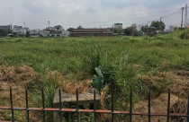 Lãng phí đất công ở TP.HCM: Ai chịu trách nhiệm?