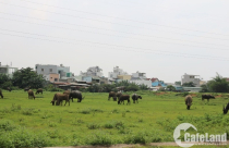 Thị trường đất nền: giao dịch giảm, giá không giảm