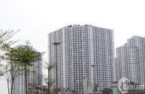 Chung cư sụt giảm nhưng vẫn là lựa chọn tối ưu