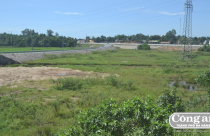 Đất bỏ hoang chờ đến kỳ nhận tiền hỗ trợ