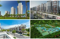 Dự án trong tuần: Mở bán căn hộ Rosa - Ra mắt Diamond Alnata