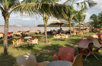 Thu hồi dự án Khu du lịch Sông Hậu đầu tư 'nửa vời'