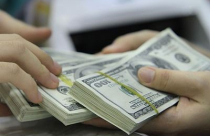 Tỷ giá USD tự do giao dịch ở mốc 23.530 đồng/USD