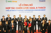 Thaco sẽ rót hàng chục nghìn tỷ vào HAGL