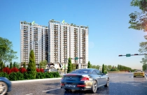 Nên mua căn hộ nào dưới 2 tỉ đồng ở khu tây TPHCM?