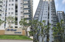 Mệt nhoài với sổ hồng chung cư