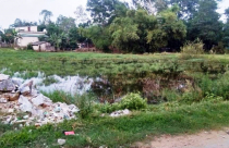 Lạ lùng: Chưa sinh đã được cấp sổ đỏ