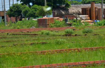 TP HCM chặn sốt đất: Công khai quy hoạch để chặn cò đất thổi giá