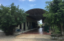 Thanh Hóa: UBND xã làm ngơ cho dân xây dựng nhà hàng trái phép trên đất nông nghiệp?!