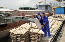 Xuất khẩu xi măng vượt kế hoạch năm