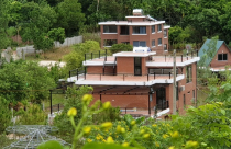 Chiếm rừng phòng hộ Sóc Sơn: Phát súng “khai hỏa” là chủ tịch xã, cấp trên có vô can?