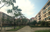 Đà Nẵng: Hàng trăm cán bộ, công chức có nhà, đất vẫn được bố trí chung cư