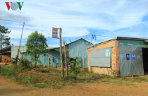 Nháo nhào dự án, đất hoang lấn át rau hoa xứ lạnh Măng Đen