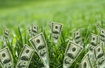 Tín dụng xanh – đường còn dài