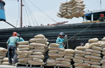 11 tháng, tiêu thụ gần 95 triệu tấn xi măng