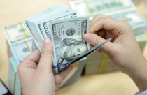 Tỷ giá USD “im lìm” chờ tin Fed