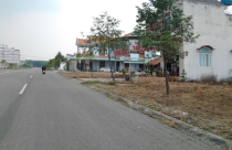 VARS: Đất nền sẽ là phân khúc chủ đạo trong năm 2019