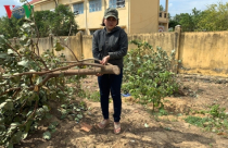 Gia Lai: Chính quyền xã cưỡng chế kiểu “xã hội đen”