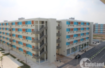 Nhiều người vẫn coi trọng sở hữu nhà hơn là thuê nhà