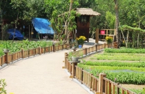 Khu nghỉ dưỡng 'chui' trong rừng phòng hộ