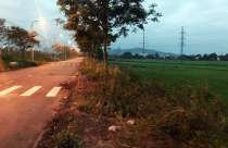 Cò thổi giá, quê nghèo chao đảo