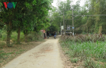 Sốt đất đã đến… bụi tre làng của vùng đất Quảng Ngãi