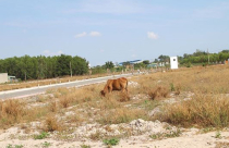 “Tắc” dự án, doanh nghiệp địa ốc TP.HCM tự làm mới mình