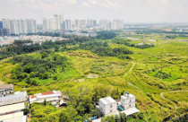 Bất động sản 24h: Cảnh giác thao túng đất của cò, đầu nậu