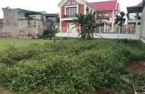 Chủ tịch xã Ninh Nhất bị tố nhận nhiều lô đất tái định cư trái quy định: Liệu có “bao che” cho sai phạm?