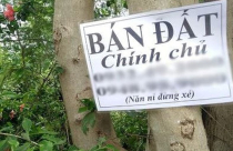 Giá đất vùng ven TP.Buôn Ma Thuột tăng nóng, bẫy giăng “vợt” người mua