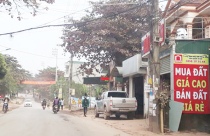 Môi giới thổi giá bất động sản có bị xử phạt?
