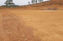 Thanh Hoá: Chưa được cấp phép doanh nghiệp đã san bằng hàng nghìn m2 làm nhà máy, chính quyền làm ngơ