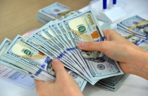 Giá USD trầm lặng