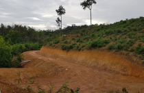 TP. Đà Lạt: Ngang nhiên rao bán đất rừng