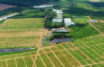 Chào bán homestay trang trại với cam kết lãi 'khủng'