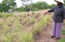 Thừa Thiên Huế: Đền bù đất giá “bèo”, dân bất bình