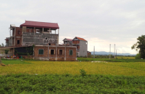 Bất động sản 24h: Tràn lan xây dựng không phép trên đất nông nghiệp